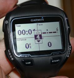 garmin 910xt, data fields